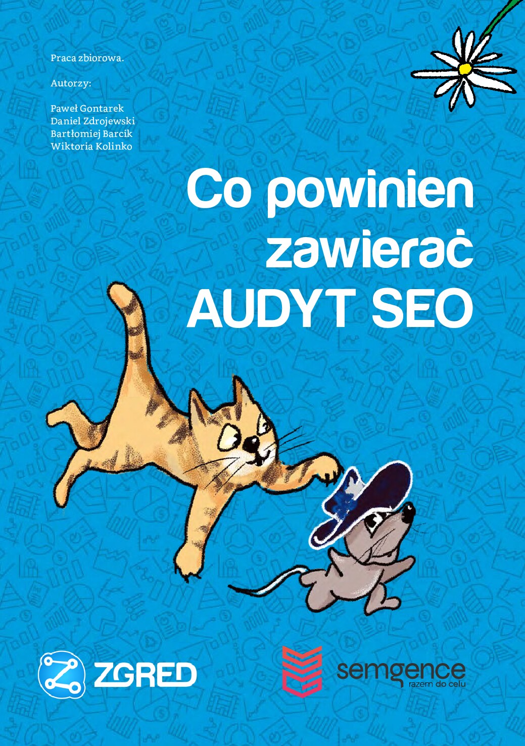 Co powienien zawierać audyt SEO.
