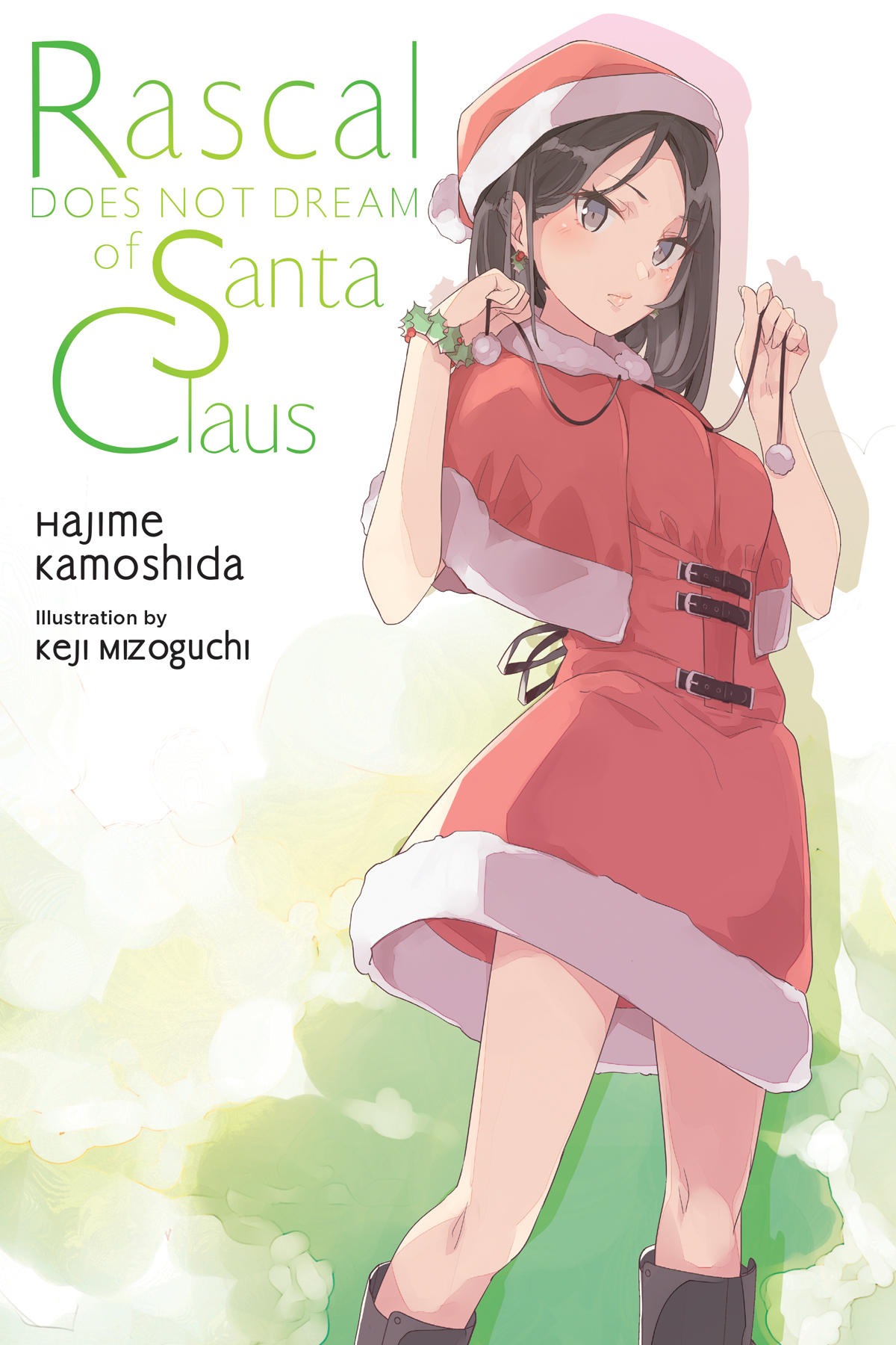 Rascal Does Not Dream of Santa Claus, Vol. 13