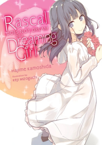 Rascal Does Not Dream of a Dreaming Girl (light novel)